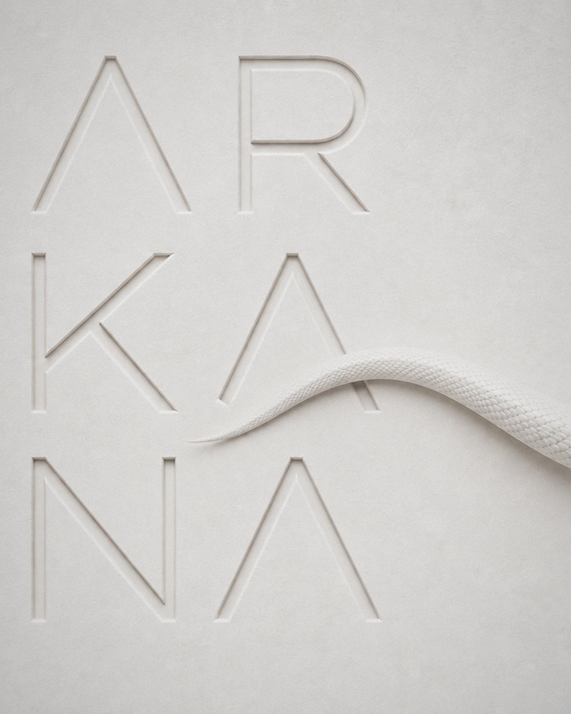 Arkana wordmark debossed into plaster beside a sculpted white serpent